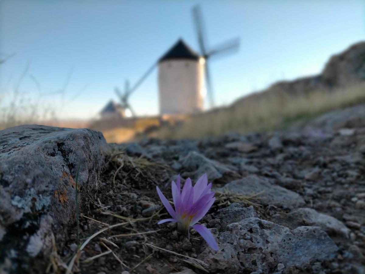 Azafran Consuegra Pensionat Exteriör bild